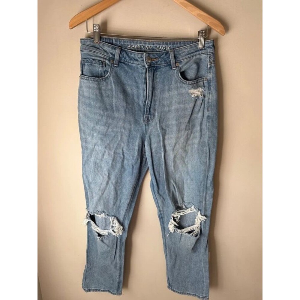 American Eagle Distressed Mom Jeans Size 10 Short